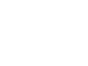 Florida International University